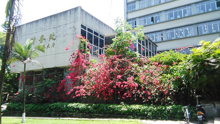 西南大學校園 西南大學校園
